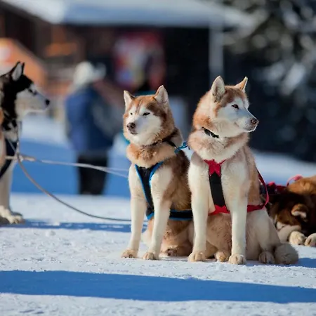 Διαμέρισμα Grand Monastery
