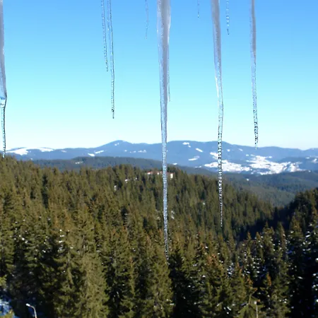 Grand Monastery Appartement Pamporovo