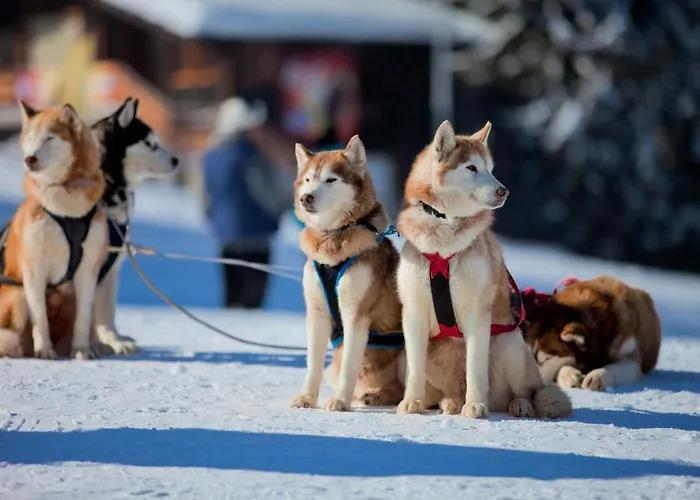 Appartement Grand Monastery
